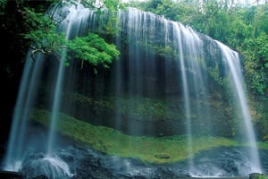 Палау – тихоокеанският оазис