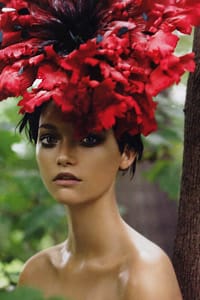 СТИВЪН МЕЙЗЪЛ – ПРОВОКАТИВЕН, НО ОБЕКТИВЕН