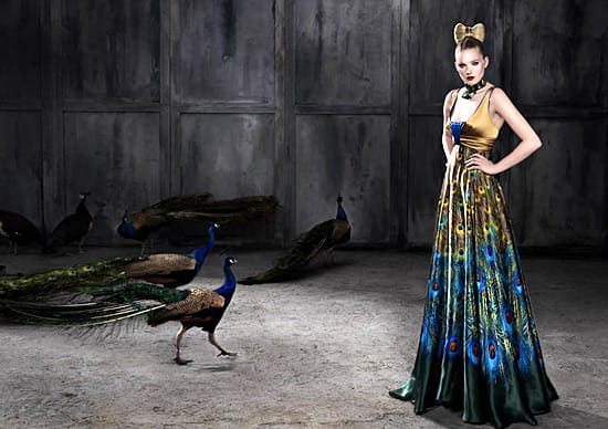 Предложение на “Гизиа”, еден-зима 2008-2009