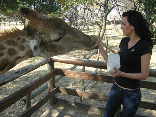 Усещане за сафари