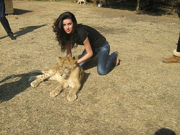 Усещане за сафари