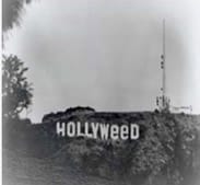 “hollywood” – надписът, който се превърна в звезда