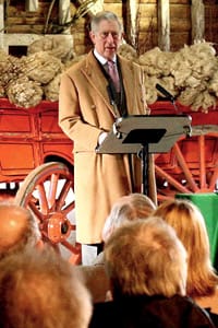 принц чарлз в защита на вълната 