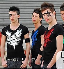 Тектоник субкултурата