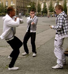 Тектоник субкултурата