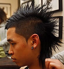 Тектоник субкултурата