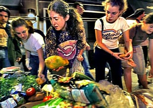 Фрийган субкултурата – бойкот в името на природата