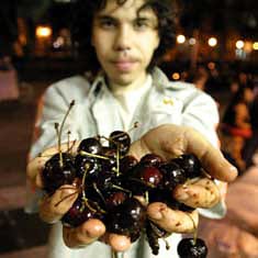 Фрийган субкултурата – бойкот в името на природата