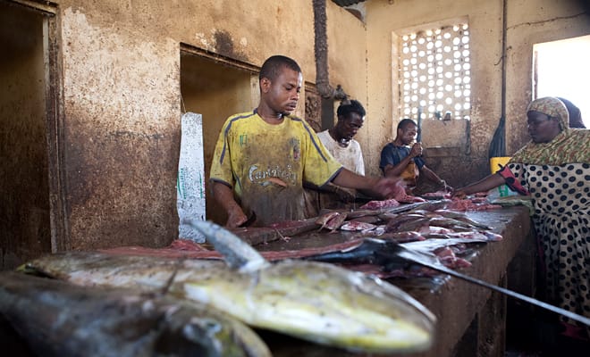 ФОТОИЗЛОЖБА НИ ПРЕНАСЯ В СВЕТА НА ПИРАТИТЕ