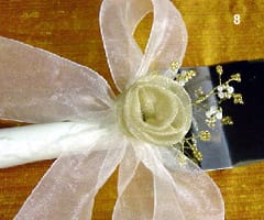 превъплъщения на органзата