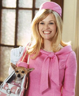 КУЧЕНЦЕТО КАТО ЖИВ АКСЕСОАР