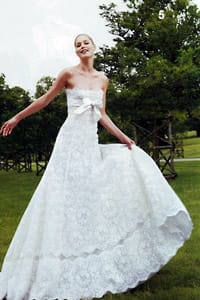 Мануел Мота за “Проновиас”