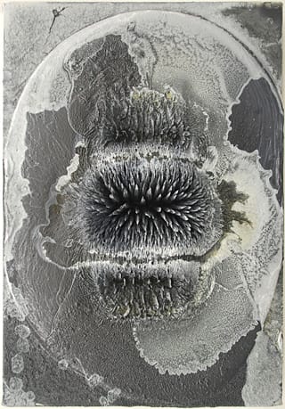 нова живопис в действие