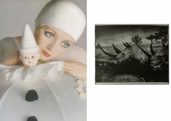 Фотографии на Сара Муун