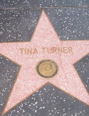 Тина Търнър