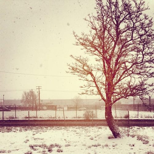 Шариф Хамза – Новаторският подход във фотографията