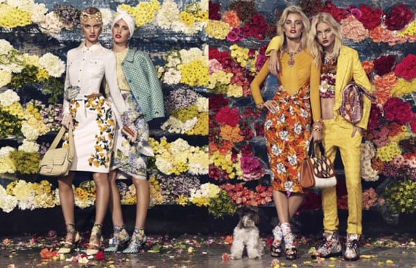 Шариф Хамза – Новаторският подход във фотографията