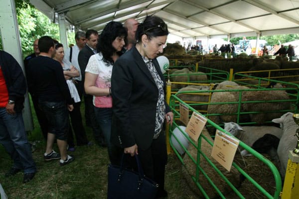 Четвърти Национален събор на овцевъдите в България