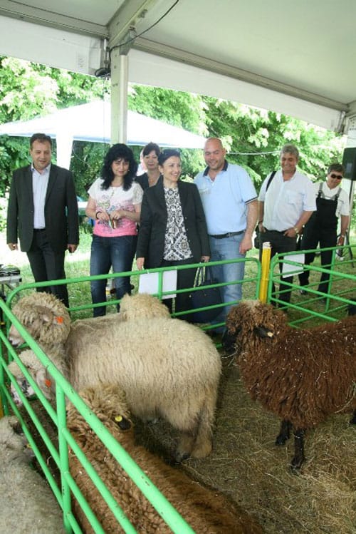 Четвърти Национален събор на овцевъдите в България