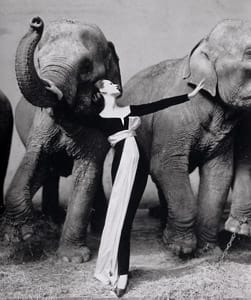 Ричард Аведон: Човекът, който превърна фотогрфията в изкуство