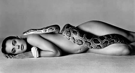 Ричард Аведон: Човекът, който превърна фотогрфията в изкуство