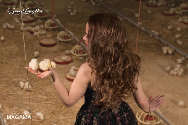 ЕКСТЕНШЪНИТЕ: МНОГО ВЪЗМОЖНОСТИ ЗА НОВА ВИЗИЯ