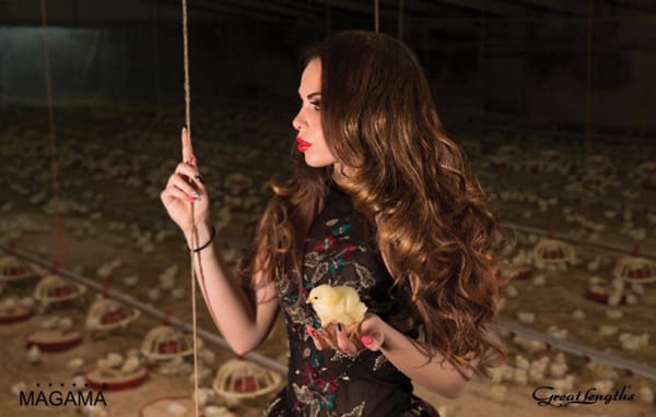 ЕКСТЕНШЪНИТЕ: МНОГО ВЪЗМОЖНОСТИ ЗА НОВА ВИЗИЯ