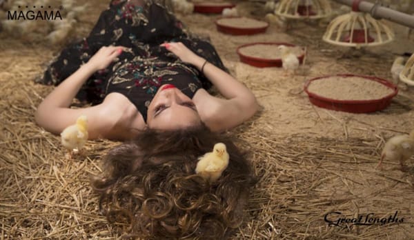 ЕКСТЕНШЪНИТЕ: МНОГО ВЪЗМОЖНОСТИ ЗА НОВА ВИЗИЯ