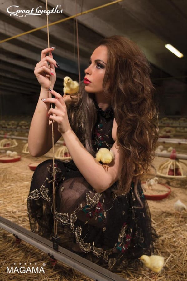 ЕКСТЕНШЪНИТЕ: МНОГО ВЪЗМОЖНОСТИ ЗА НОВА ВИЗИЯ