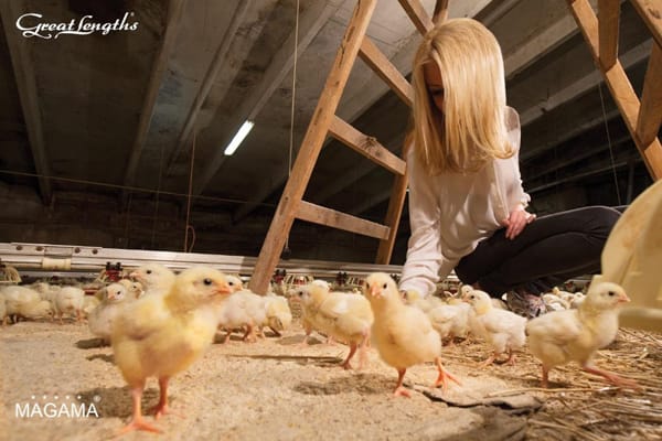 ЕКСТЕНШЪНИТЕ: МНОГО ВЪЗМОЖНОСТИ ЗА НОВА ВИЗИЯ