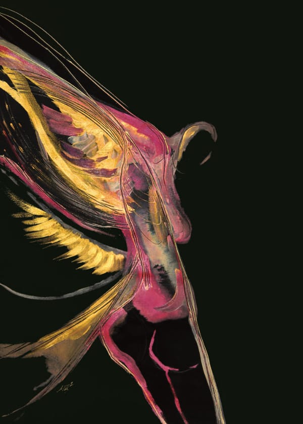 Хай-Тек инвенциите на Мая Цанкова