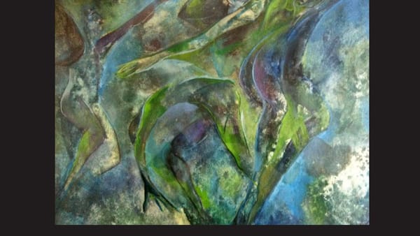 Хай-Тек инвенциите на Мая Цанкова