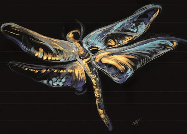 Хай-Тек инвенциите на Мая Цанкова