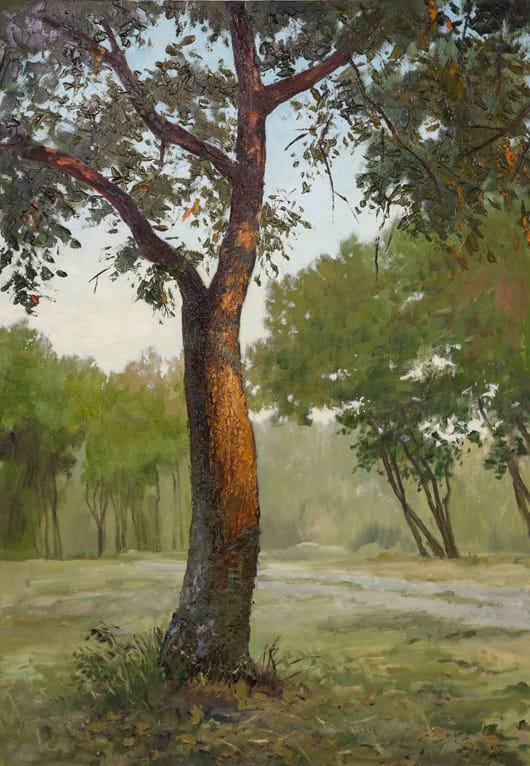 Костадин Жиков